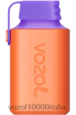 VOZOL Amazon - VOZOL GEAR 600 BND44353 litchi guava anguria