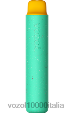 VOZOL Amazon - VOZOL STAR 2000 BND44155 orsetto gommoso