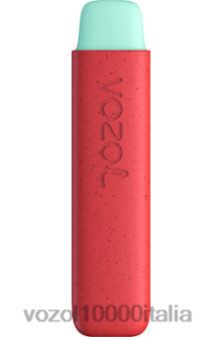 VOZOL Prezzo - VOZOL STAR 550 BND44138 mela pesca