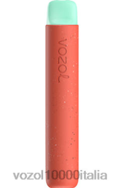 VOZOL Vape Nicotina - VOZOL STAR 600 BND4488 litchi guava anguria