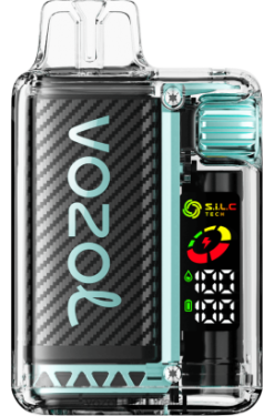 VOZOL Vape - VOZOL VISTA 16000/20000 BND449 menta di miami