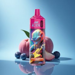 JNR Alien 10000 Dolce Pesca Mirtillo con LED RGB e Ricarica Rapida Type-C