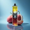 JNR Calavera 11000 Pesca Mango Tipo-C 850mAh 21ml