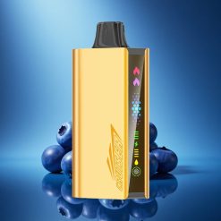 JNR Cruiser 12000 Mirtillo Esplosione Schermo Animato 3500 mAh