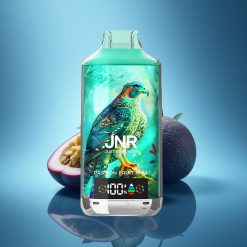 JNR Falcon X 18000 Frutto della Passione Kiwi 750mAh Dual Mesh