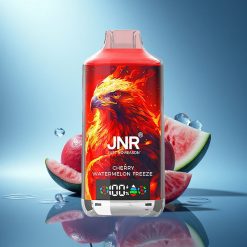 JNR Falcon X 18000 Gelso Anguria Ghiacciato con Dual Mesh Coil e 24ml