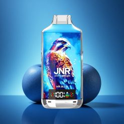 JNR Falcon X 18000 Signor Blu 24ml Dual Mesh