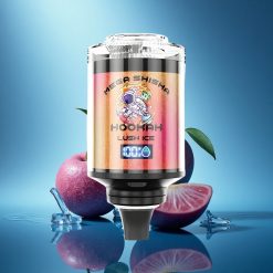 JNR Mega Shisha Hookah 100K Ghiaccio Lussureggiante 2200mAh Tipo-C Aria Regolabile