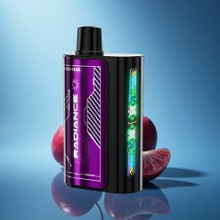 JNR Radiance 31000 Bacca Animazione Doppia