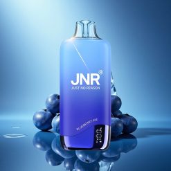 JNR Rainbow 10500 Gelato di Mirtillo 18ml Mesh