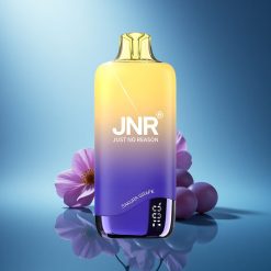 JNR Rainbow 10500 Uva Sakura Mesh 18ml USB-C