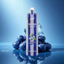 JNR Shisha Hookah 12000 Gelato di Mirtillo Rapido 750mAh