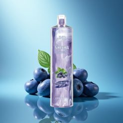 JNR Shisha Hookah 12000 Menta Mirtillo 24ml 750mAh