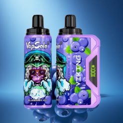 VapSolo VIKING 12000 Puffs Mirtillo Blu Elettrico 22ml Tipo-C