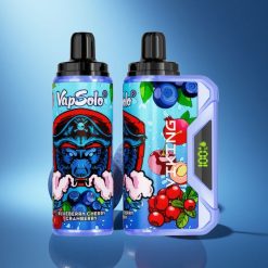 VapSolo VIKING 12000 Puffs Mirtillo Ciliegia Mirtillo Rosso Tipo-C 22ml